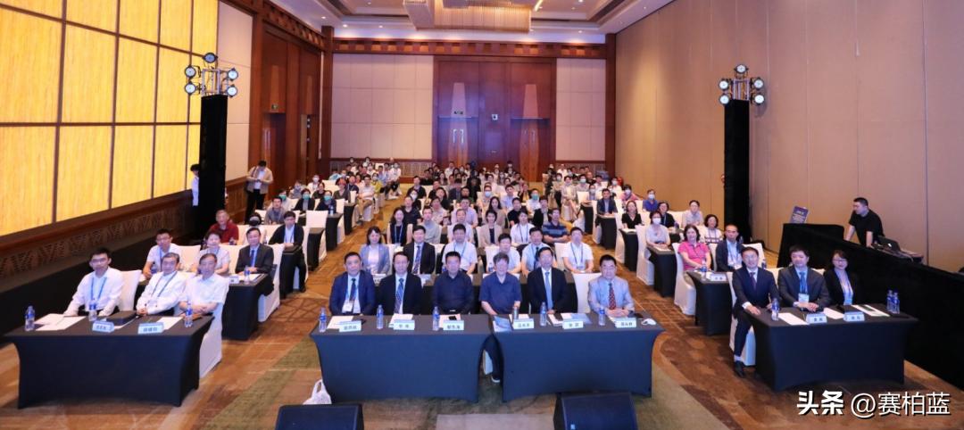 参松养心胶囊副作用怎么治,参松养心胶囊中医辨证