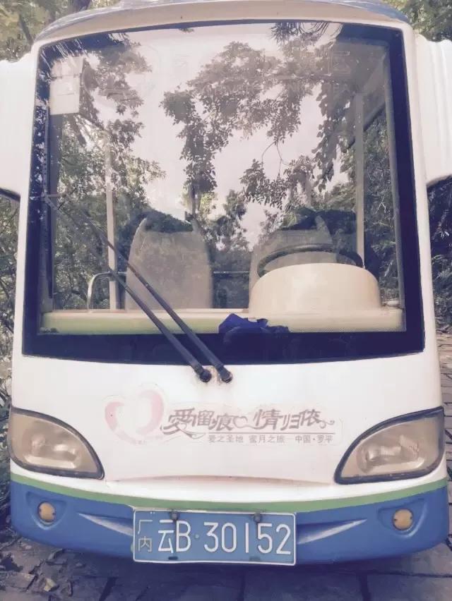 最独一无二的冷知识大全,中国唯一冷知识