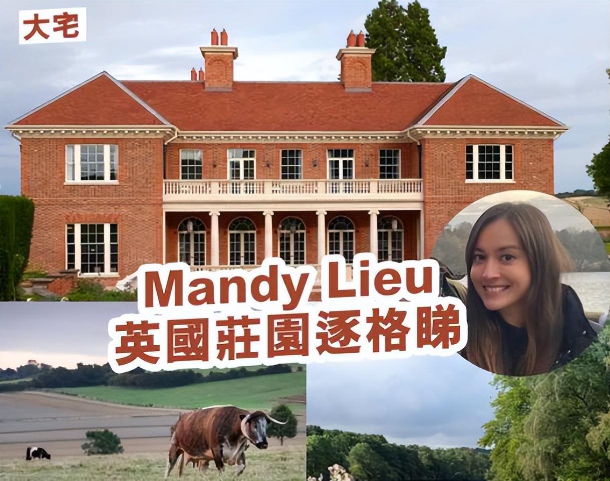 周焯华刘碧丽最新消息,周焯华和小三最新消息