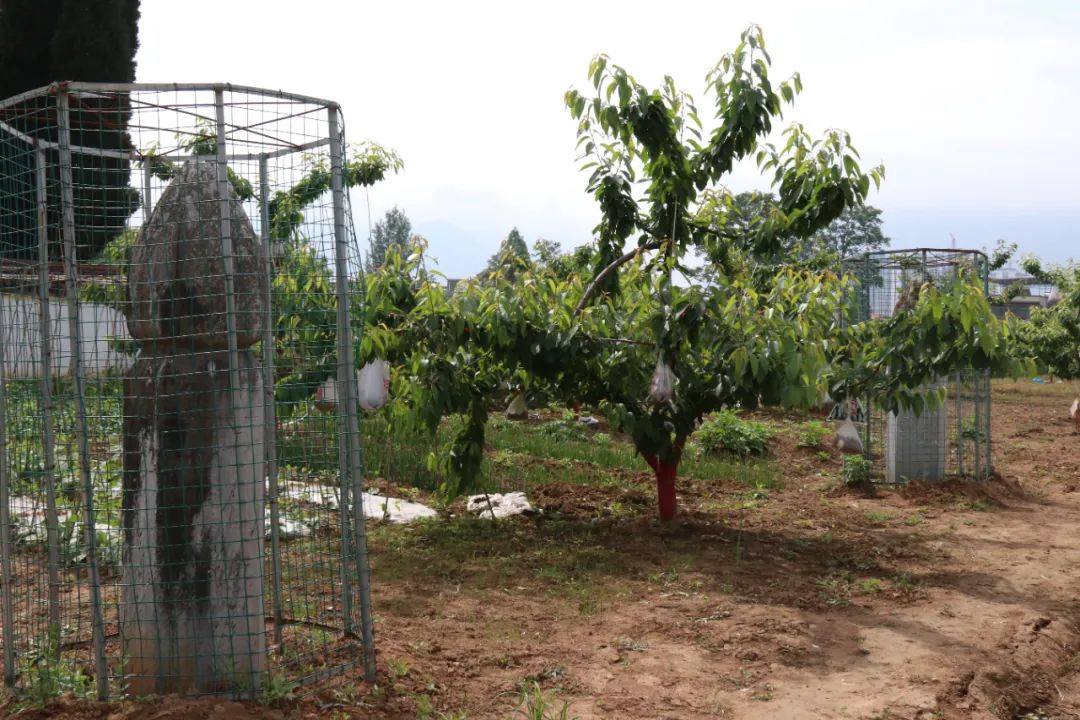 宋朝州与县的关系,宋朝元朝那些事儿