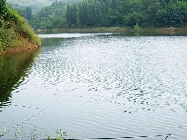 我的母亲是钓鱼高手