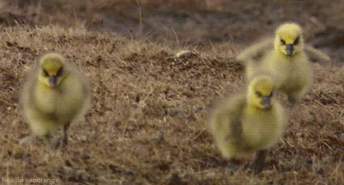 南京人真的太太太太太硬了!