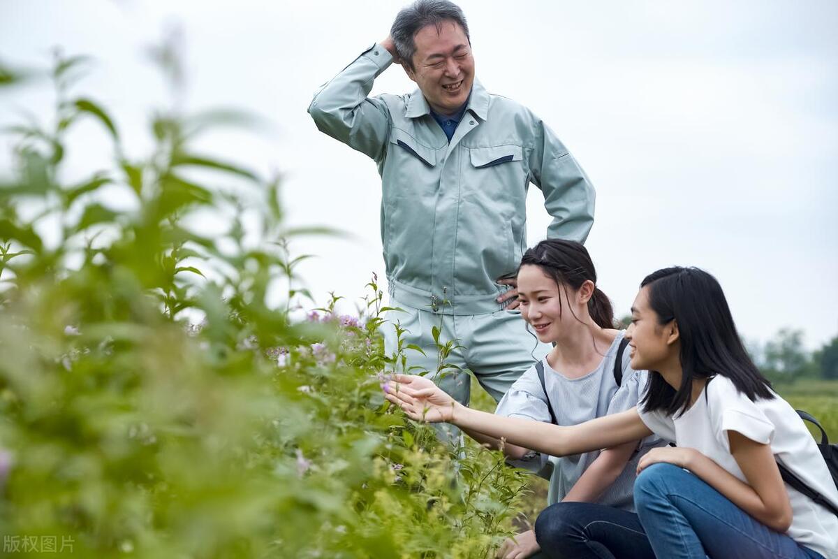 农村致富有这4个项目就足够了,农业农村有哪些新项目可以致富