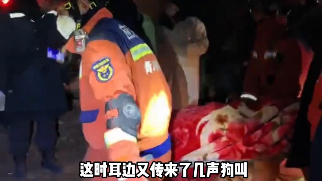 狗狗腿上受伤了怎么包扎,狗狗受伤后疼的全身发抖怎么办