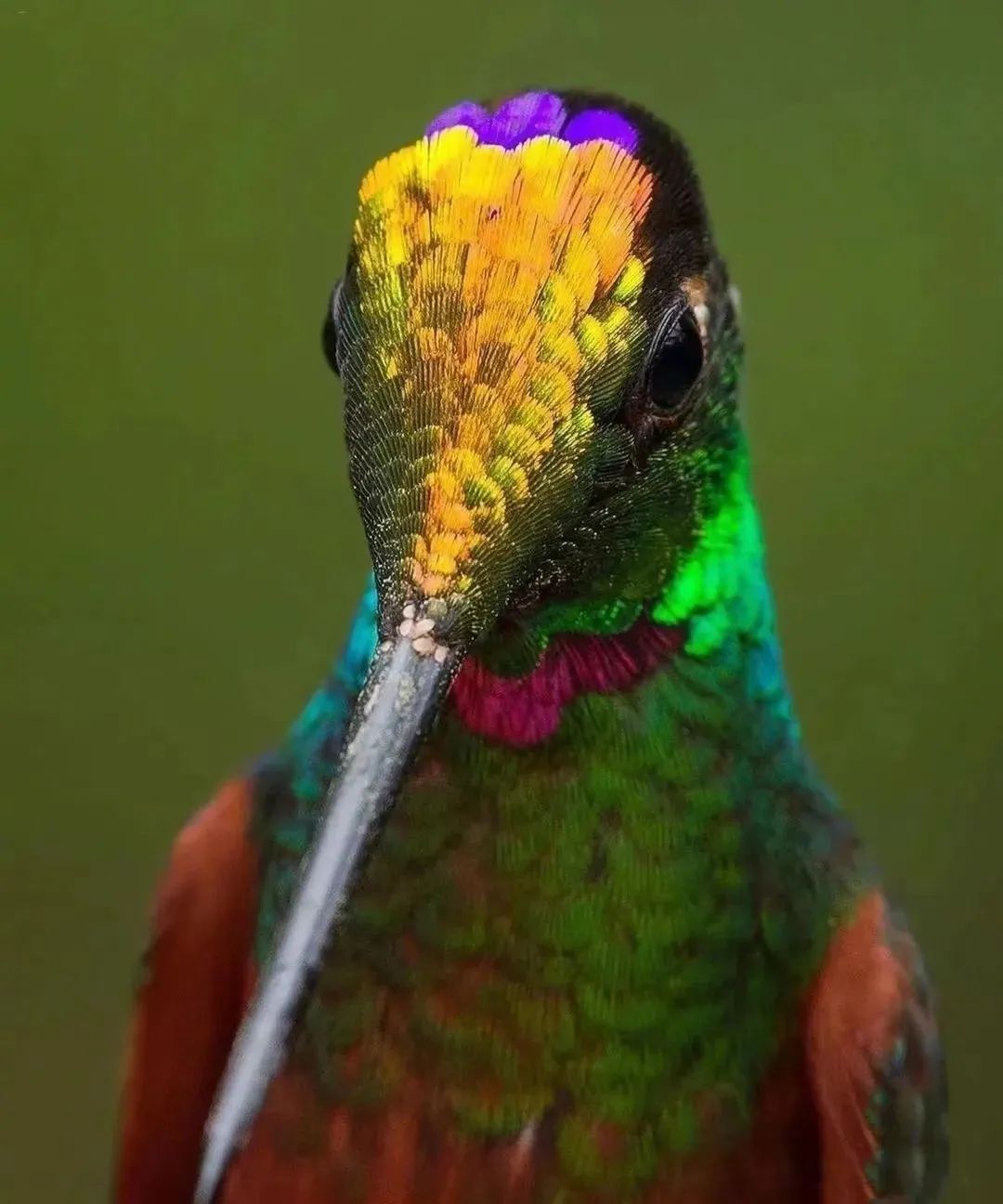 趣知识科普,趣知识