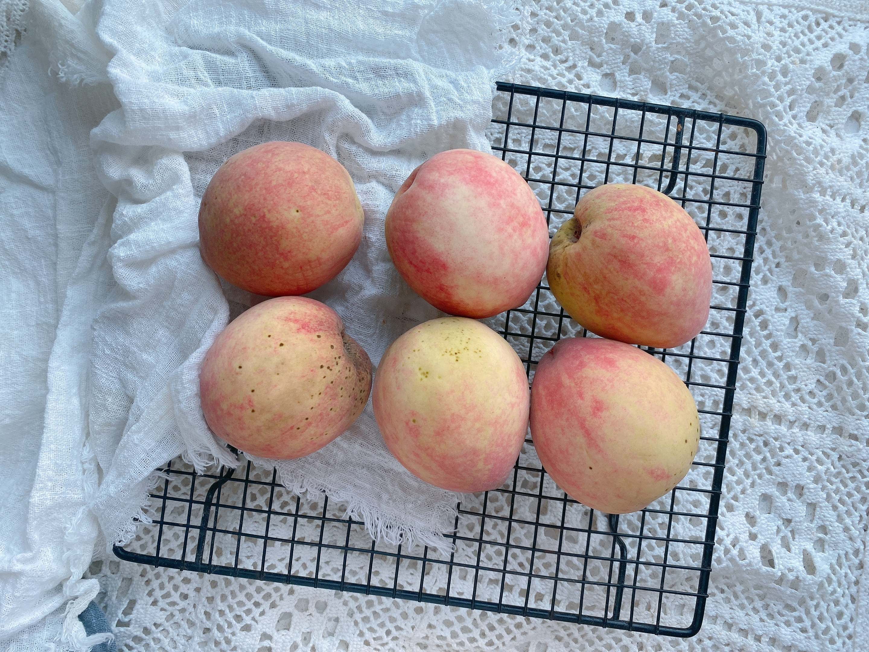 桃子酒的家庭简单酿制方法,如何酿制桃子酒好喝