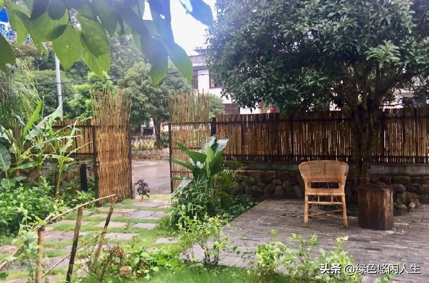 玉堂春富贵指哪些花,玉堂锦绣富贵春寓意