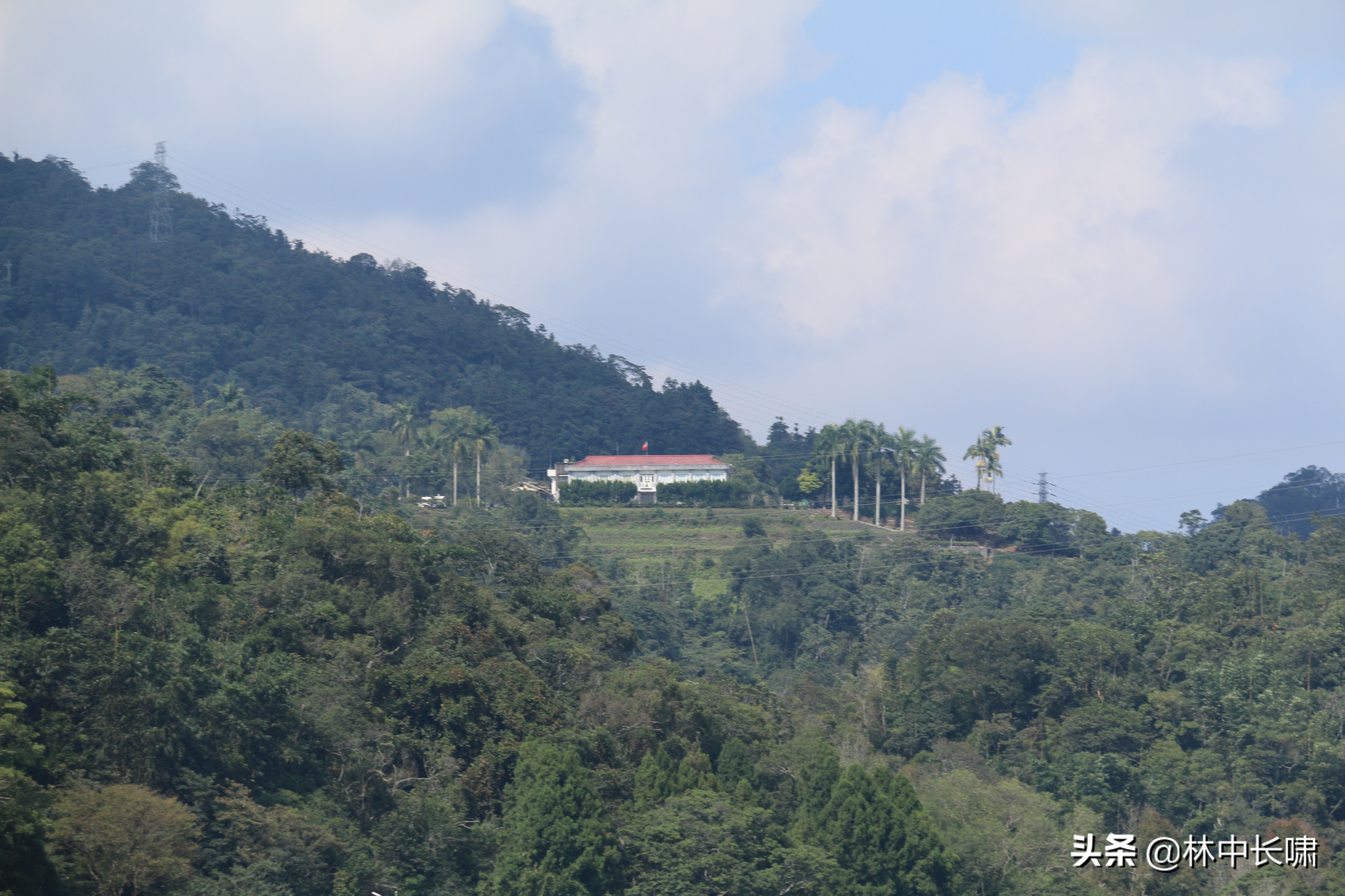 正宗日月潭香菇茶叶蛋,日月潭的茶叶蛋