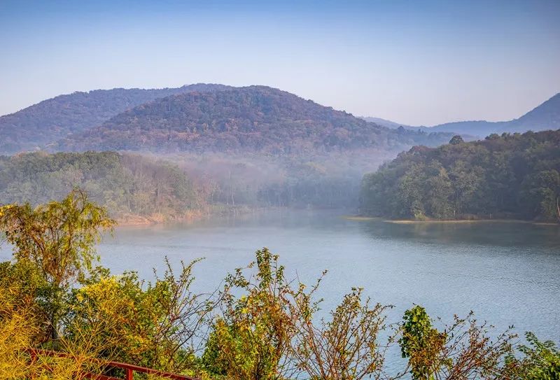 南京景色视频,南京景色作文