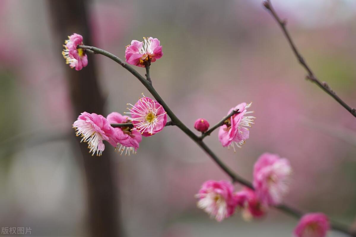 大学生出来做兼职合法吗,大学生去摆摊丢人吗