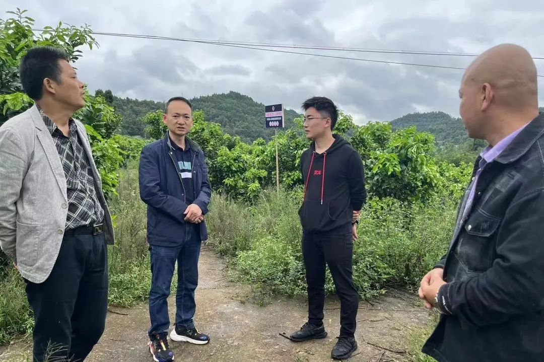 检察为民服务举措,安岳检察的微博视频