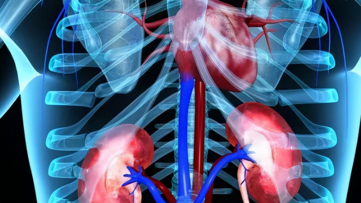 预防艾滋病最好方法改变危险行为,发生高危后如何排除艾滋