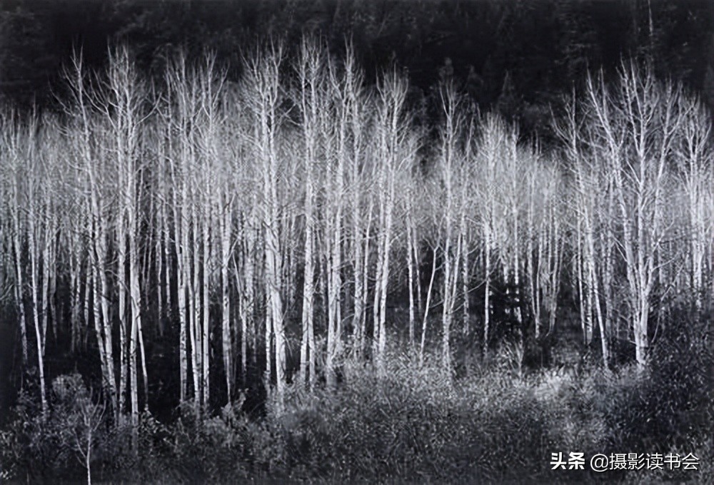 安塞尔亚当斯风光摄影,安塞尔亚当斯摄影经典作品图片