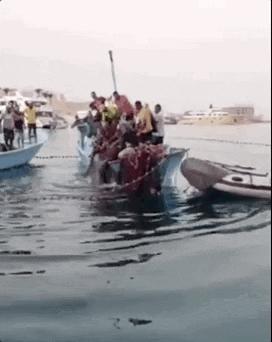 俄罗斯男子在海边被鲨鱼咬死,俄罗斯男子被鲨鱼咬死鲨鱼被捕