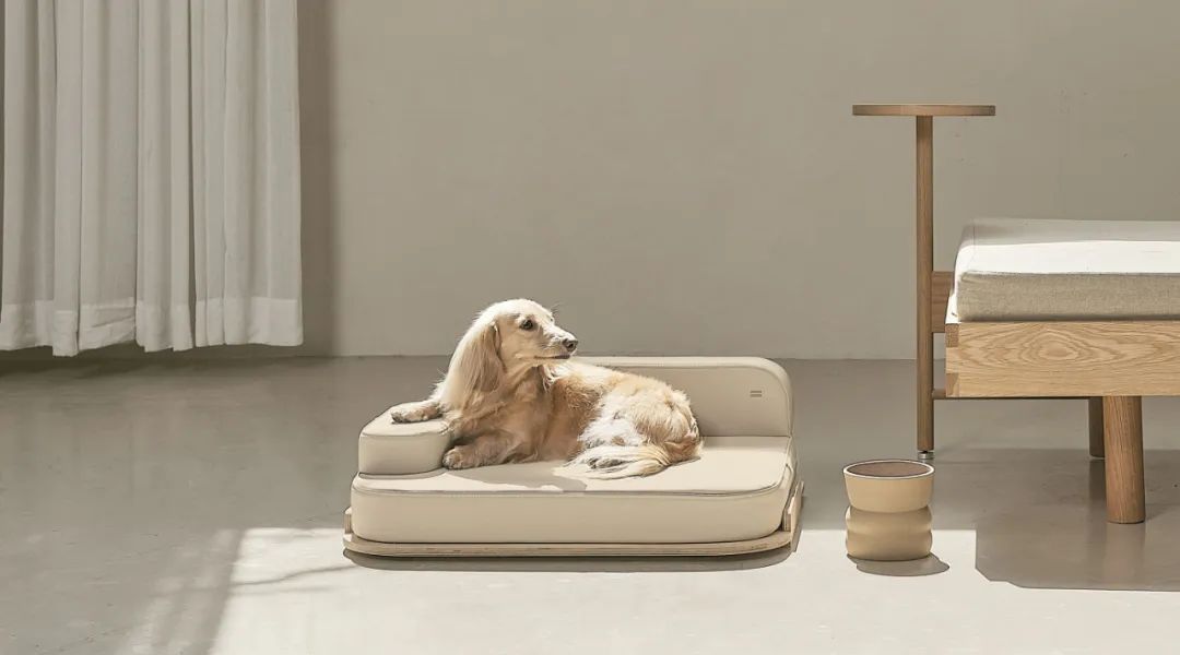 2022年iF设计奖：宠物用品类