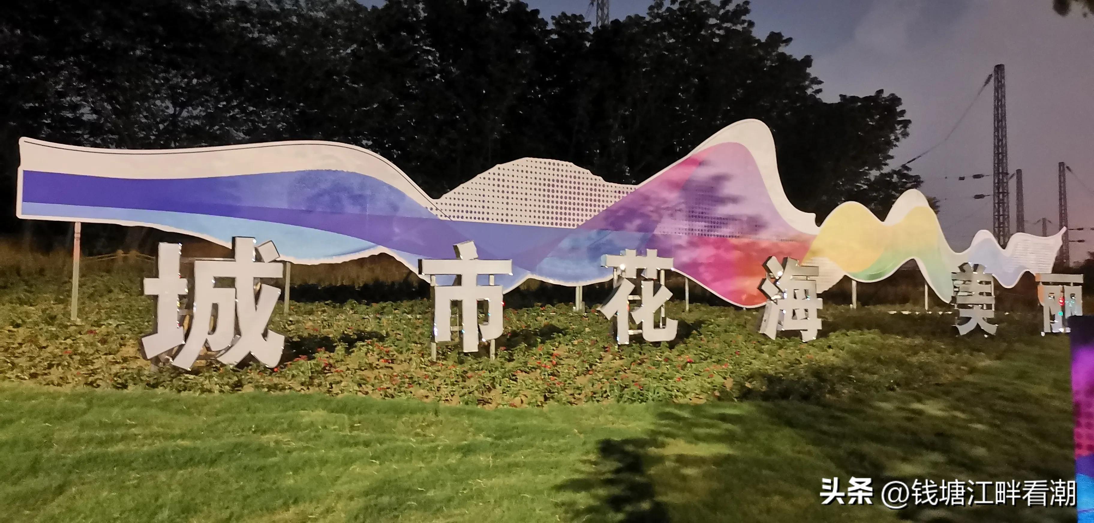 #不能这样活#（14）鹅足肌腱炎