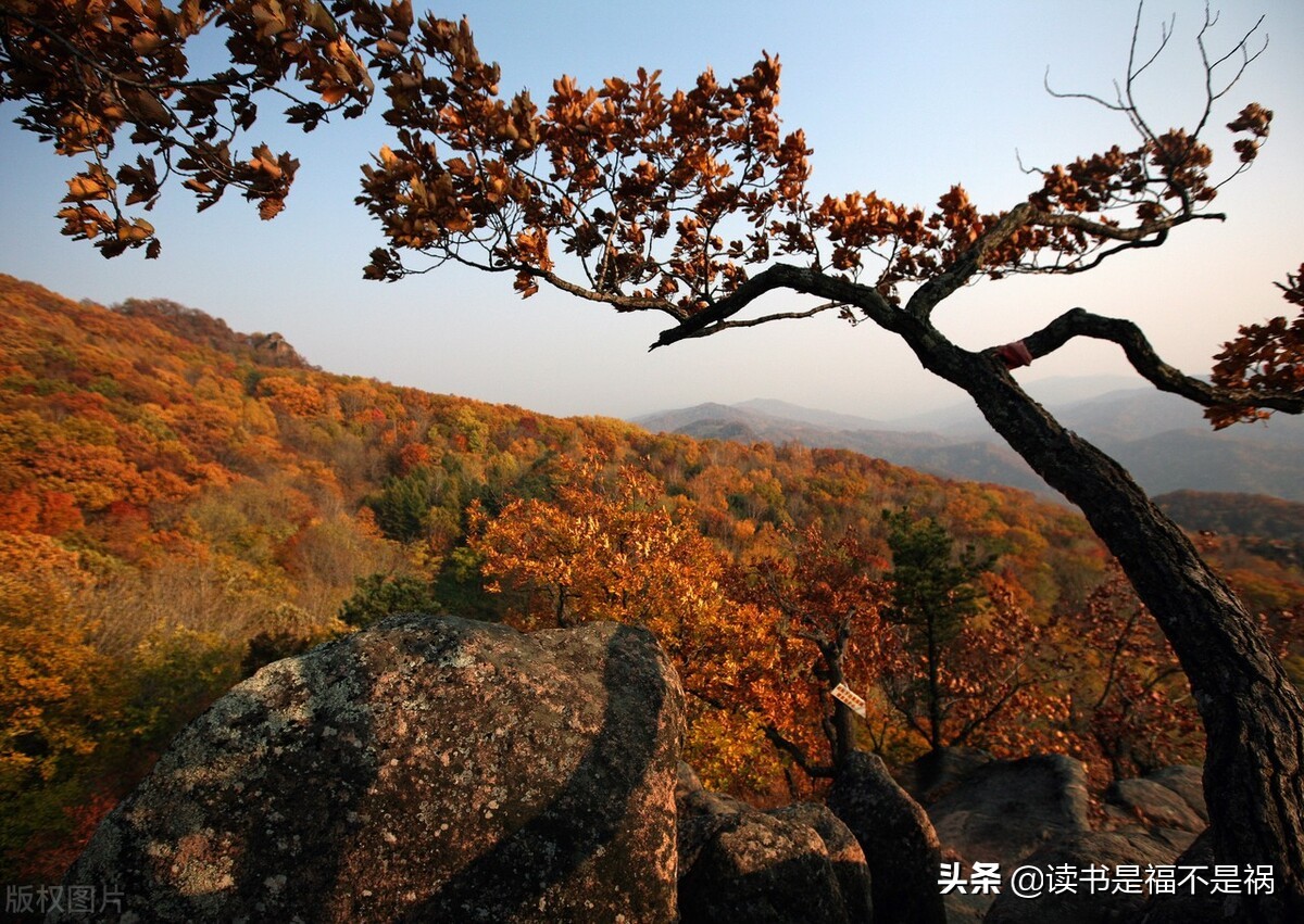 国学经典之三国志导读第六十讲,国学经典导读第二版