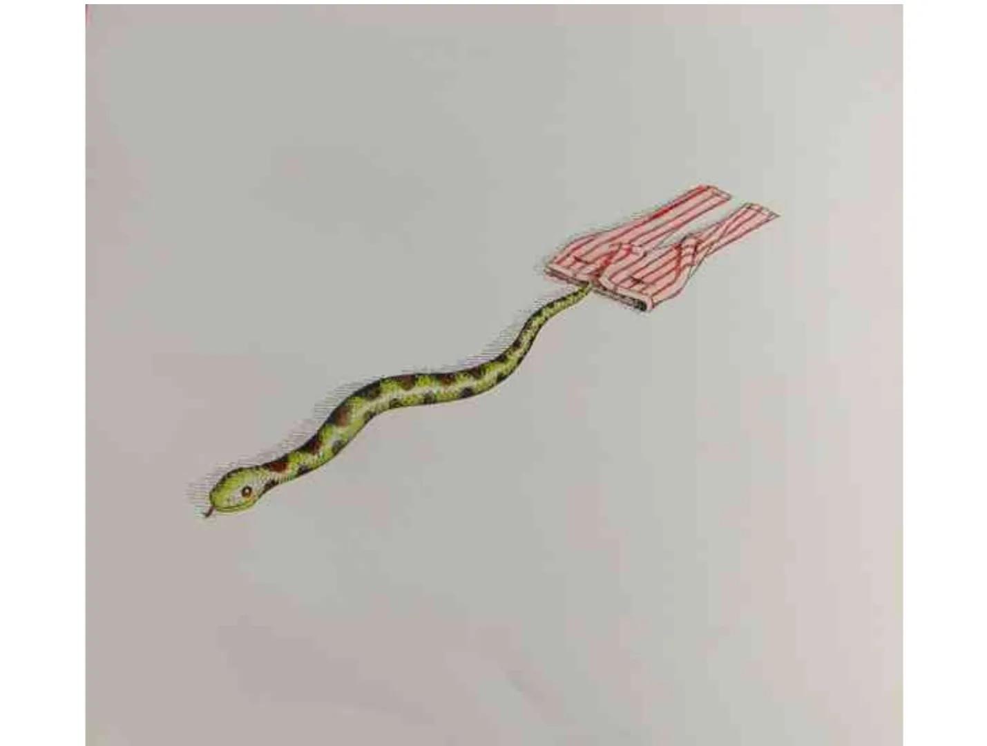 ppt绘本故事制作优势,ppt绘本里的动物动起来