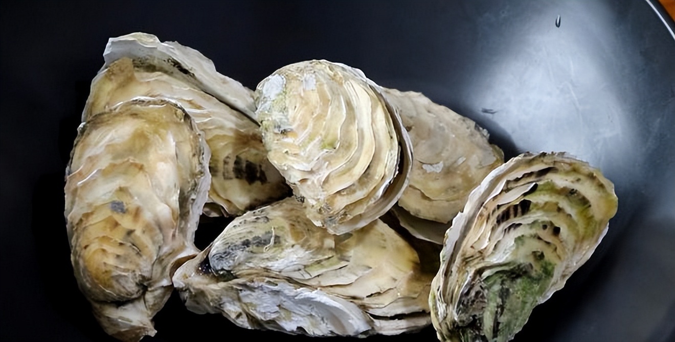 牛奶的5种做法营养补钙口感好,牛奶也有4种吃法美味又营养