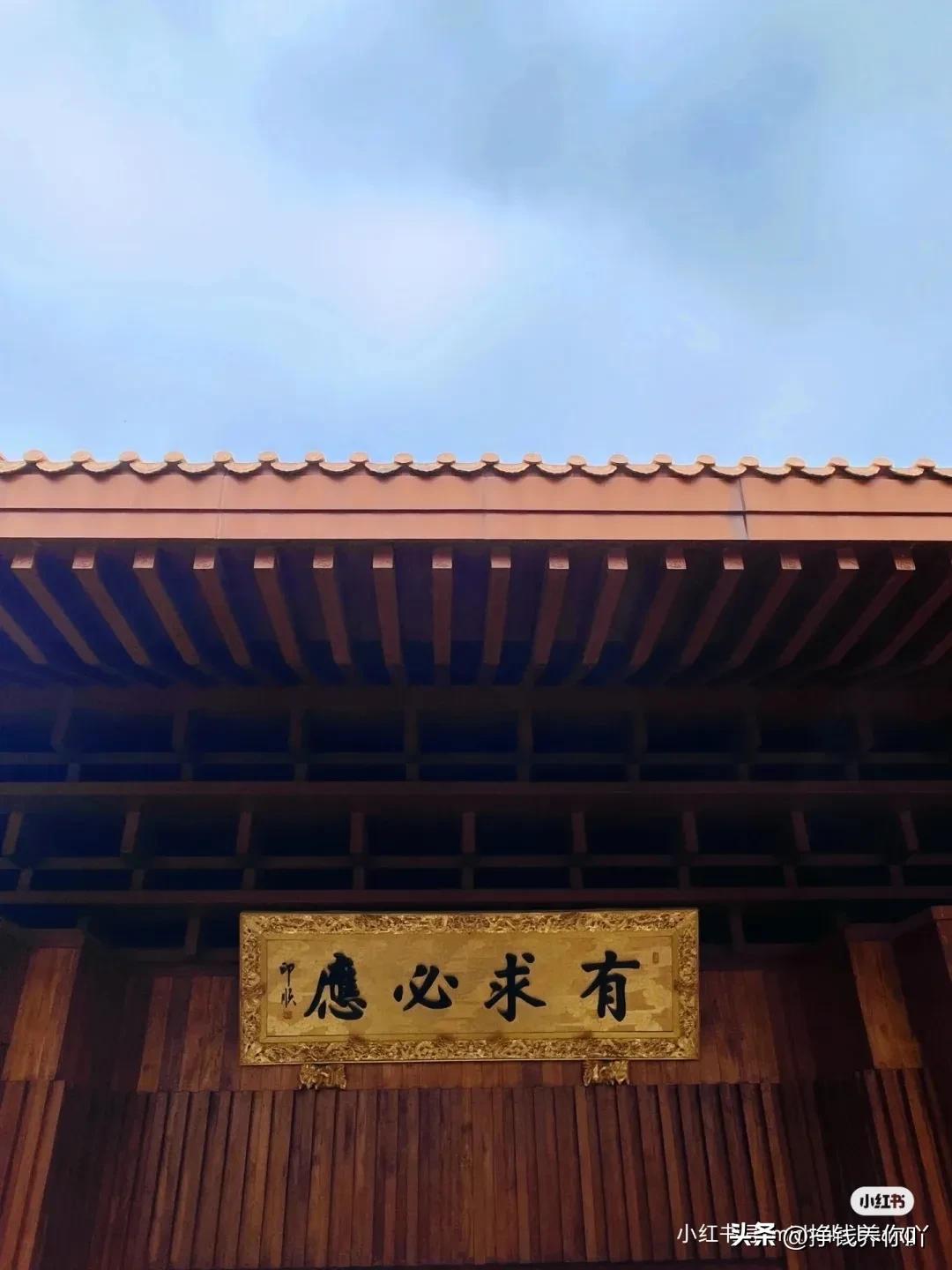 仙湖植物园门票多少钱,仙湖植物园值得打卡的地方