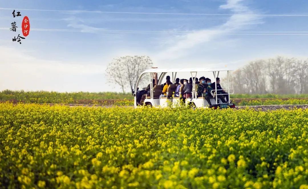 实话实说，一位53岁的员工，记录了他在金沙河一年的感触……