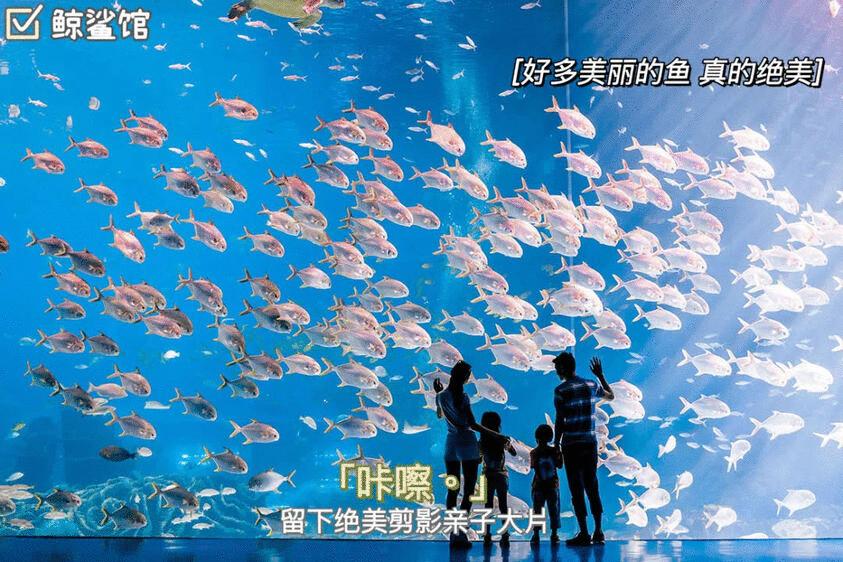 珠海长隆海洋王国3人1日游,珠海长隆海洋王国3日2夜