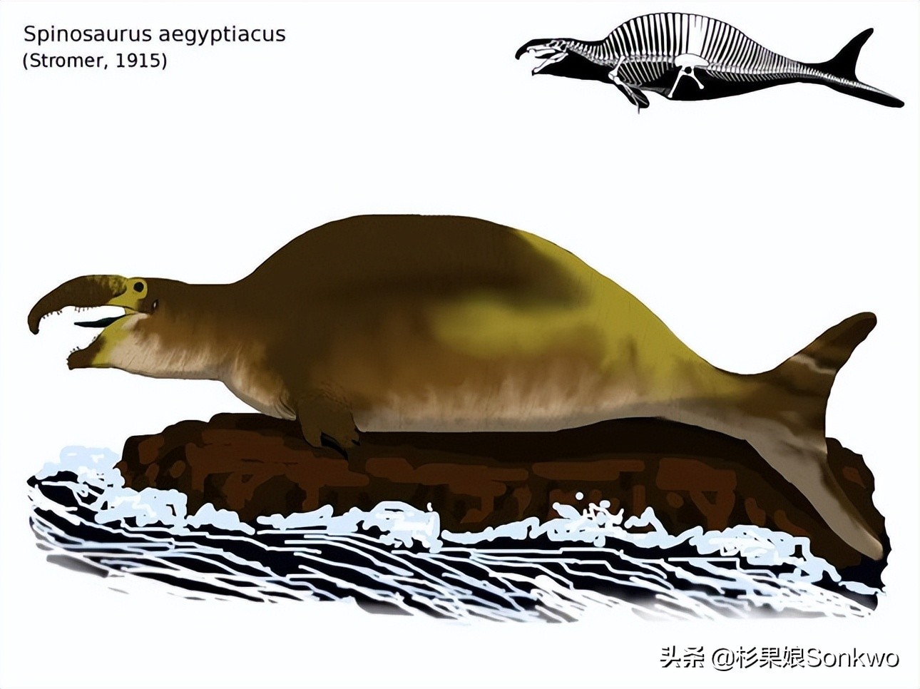 侏罗纪世界进化2水生恐龙解锁,侏罗纪世界进化2全图鉴恐龙解锁