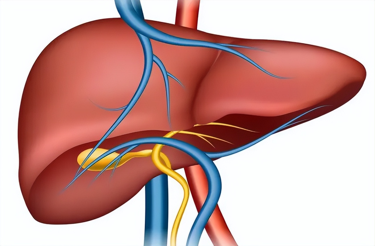 一瓶“甲硝唑”几块钱，或能帮你“摆平”6种疾病，你会用吗？