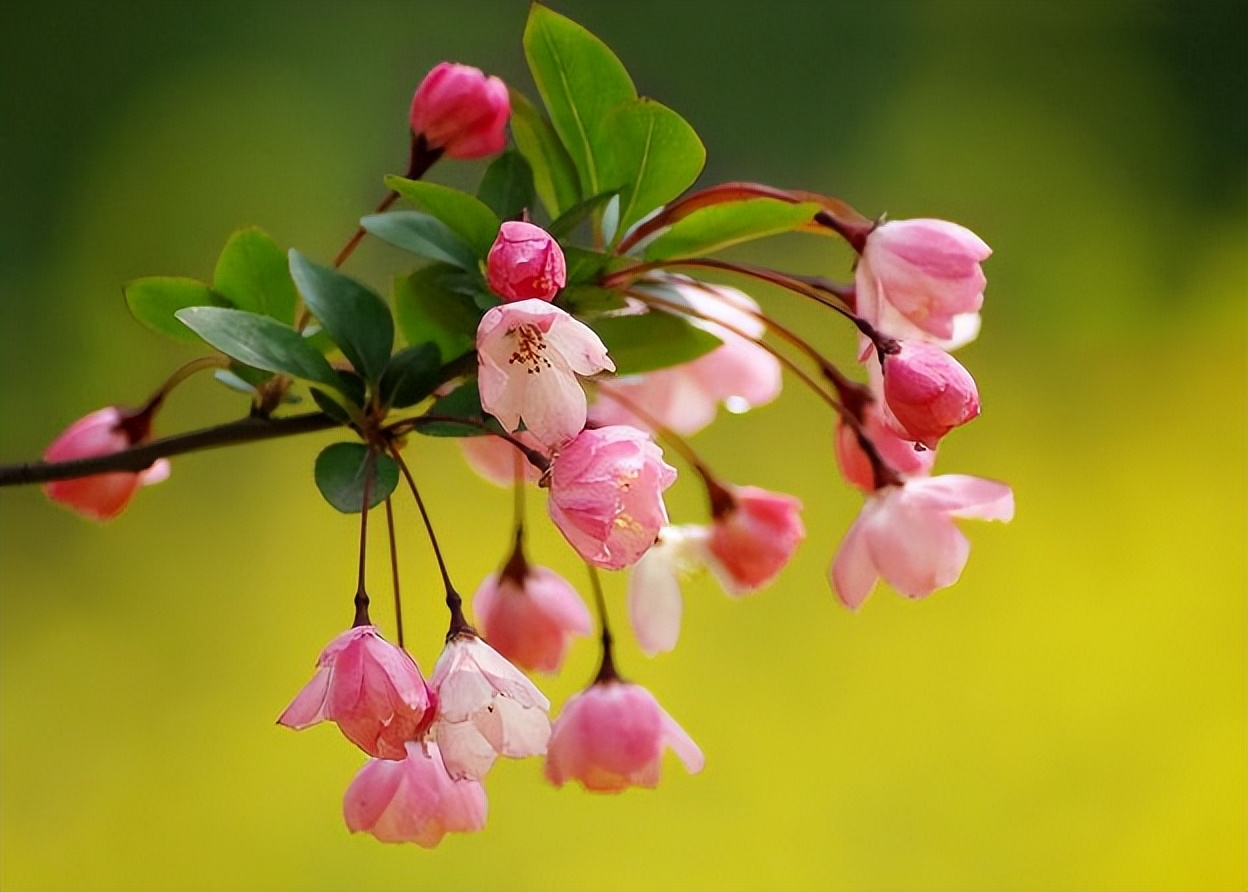 拥有超强直觉能力的三大星座,具有超强洞察能力的星座