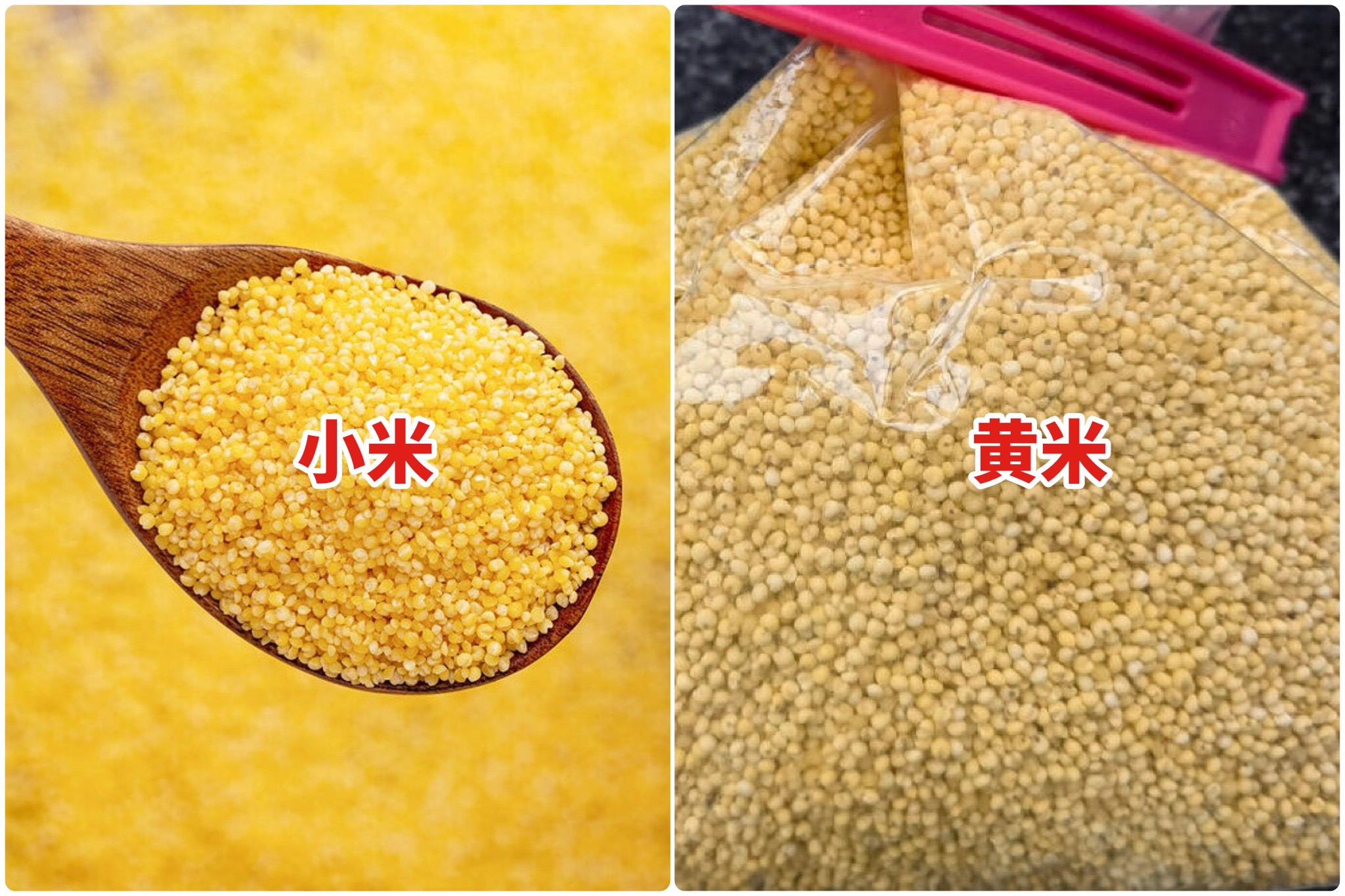 黄小米怎么区别好坏,小米杂粮有什么区别