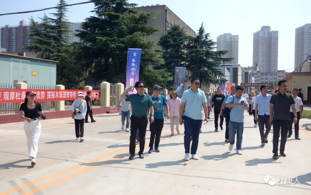 杜康参观,杜康酒厂参观