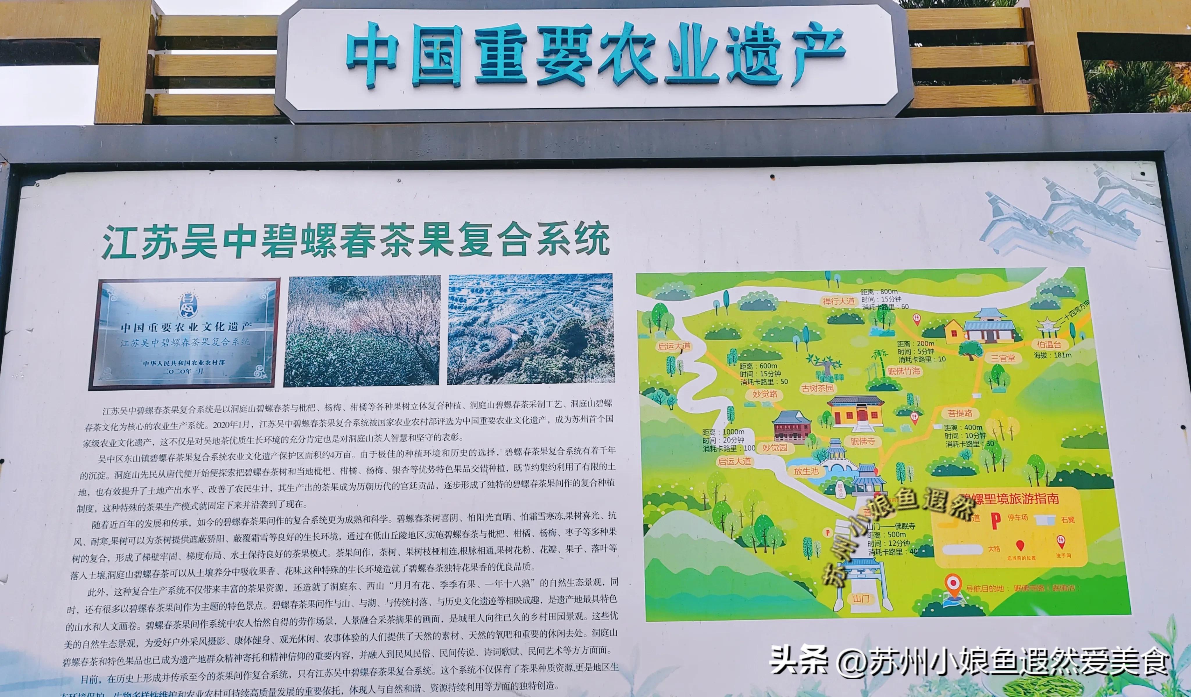 苏州一日游攻略探索更好玩的景点,苏州一日游景区推荐