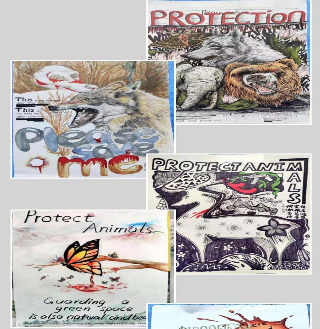 创新绵实丨聚焦新高考（三）：佳晴有新“课”，青衿自有“程”