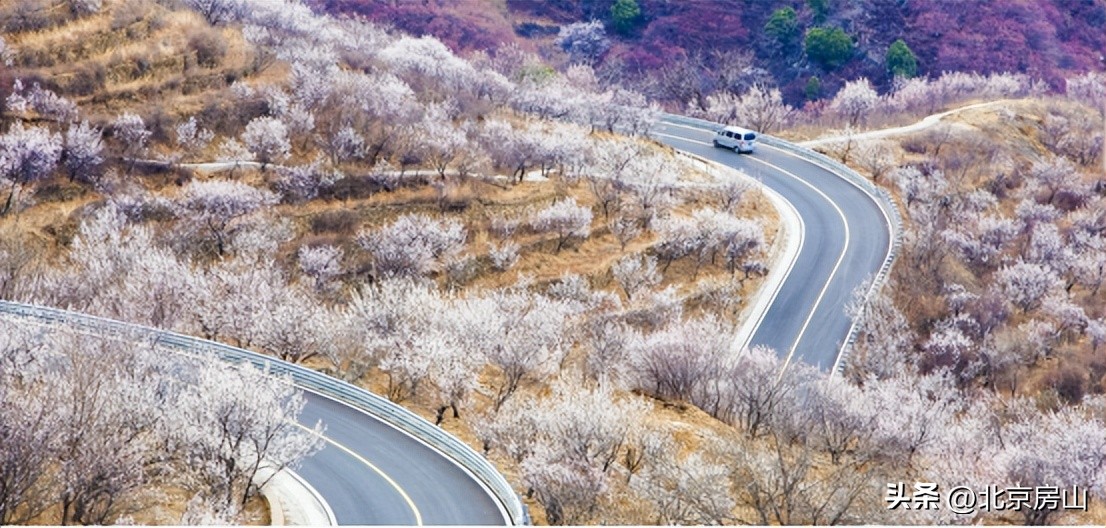 绘就美丽中国新画卷,绘就和谐宜居新画卷