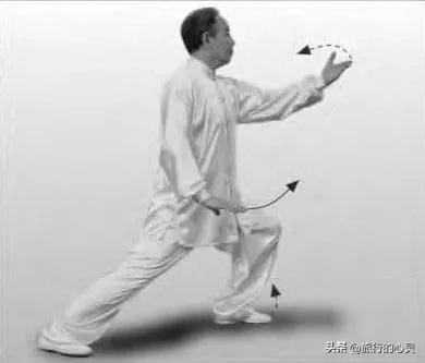 陈氏太极拳24式图解步骤,24式太极拳图解说明和要点