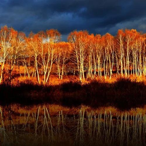 自述：我异国务工遇真爱，可她却不肯嫁给我，只教会我如何做贸易