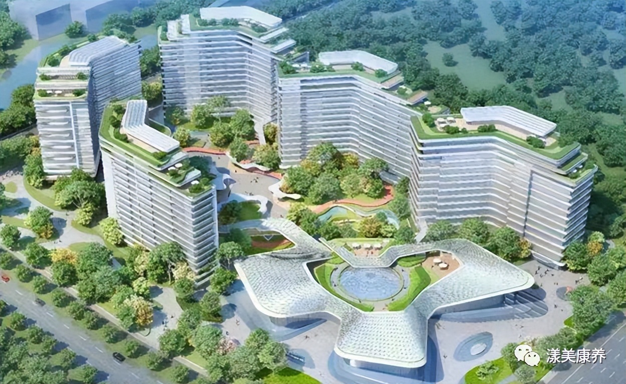 康养新闻最新消息,康养新闻最新