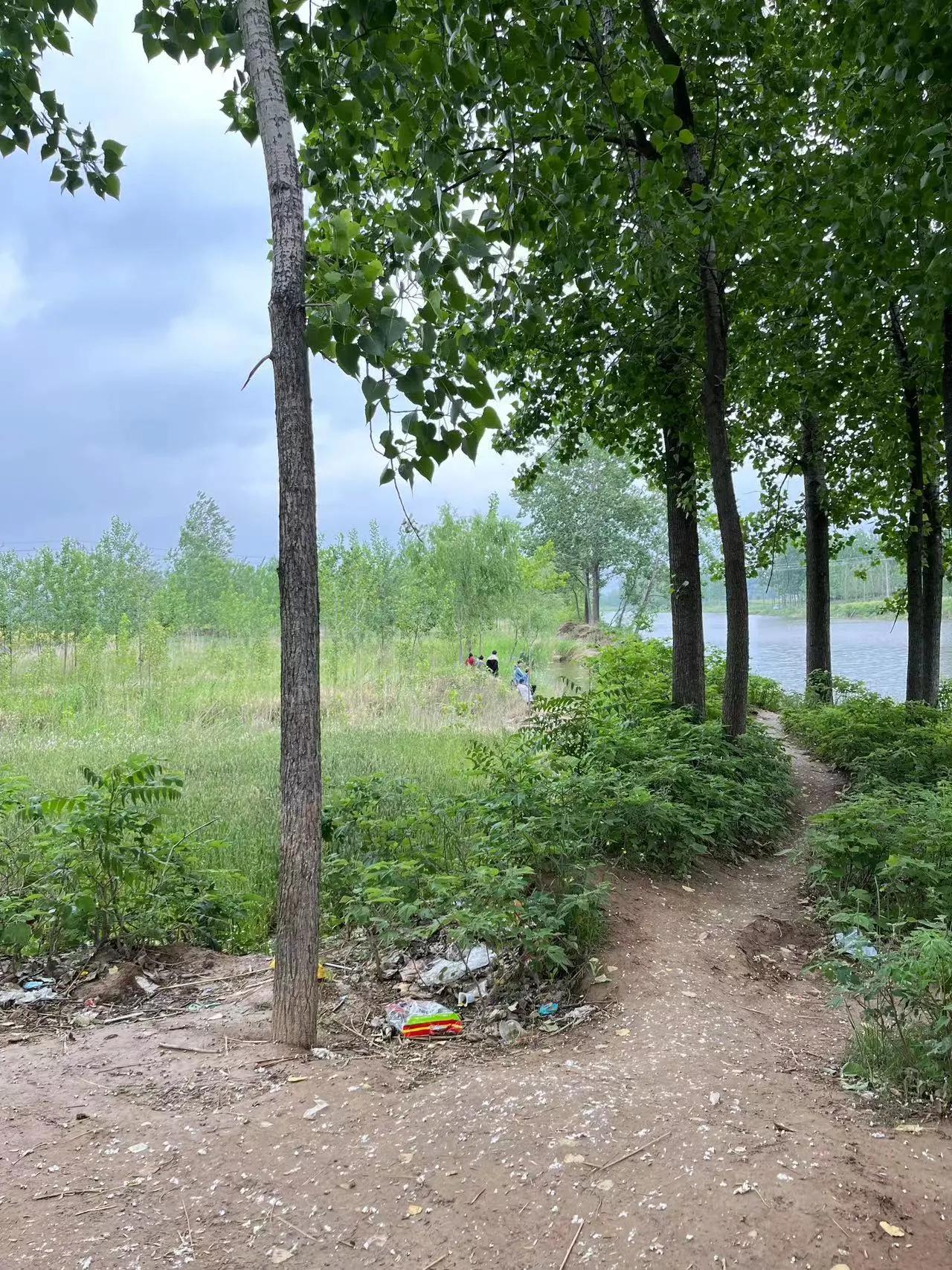 别问什么价,就是喜欢她