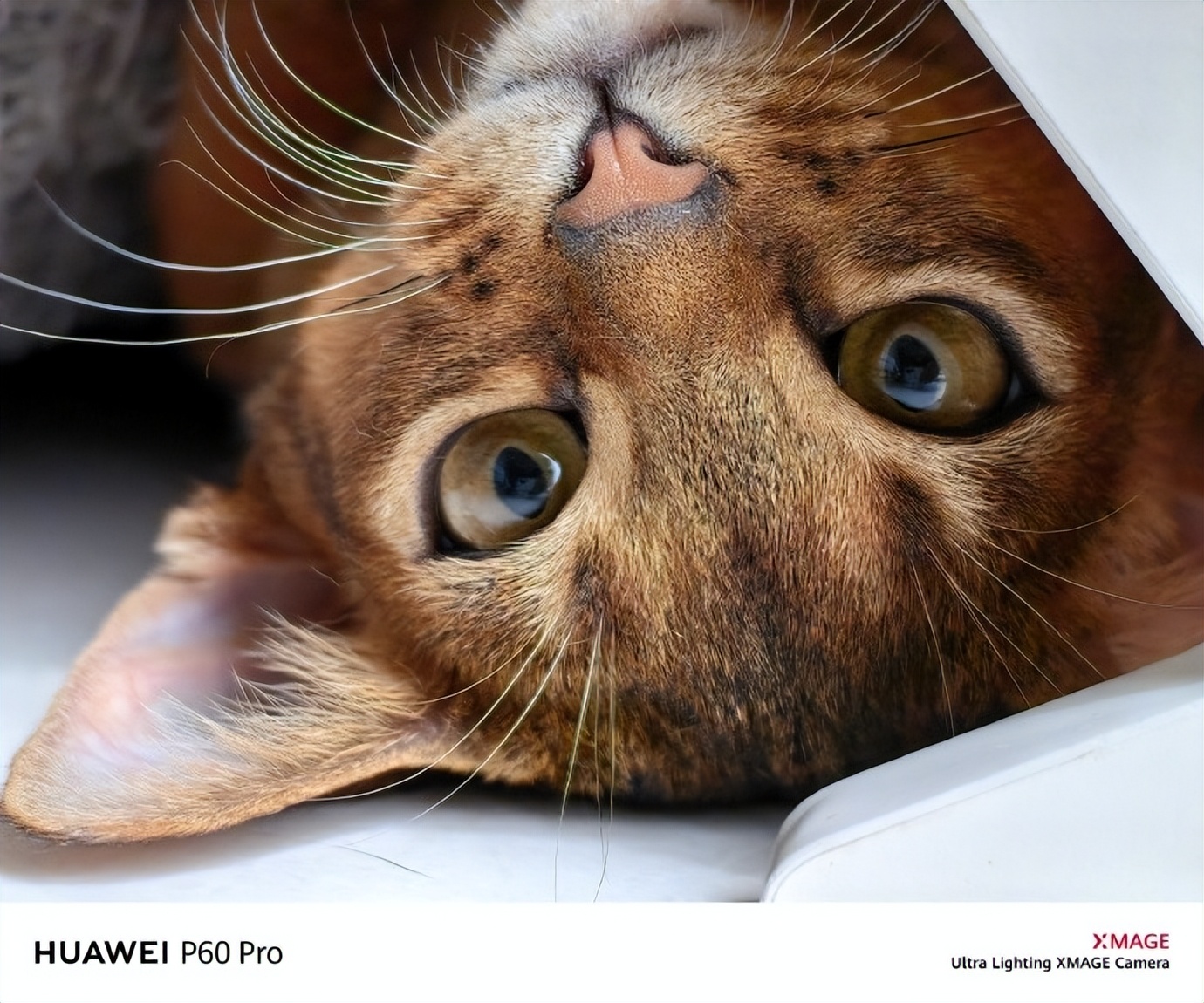 华为旗舰新品P60系列火热预定中,华为p60搭载超聚光夜视长焦