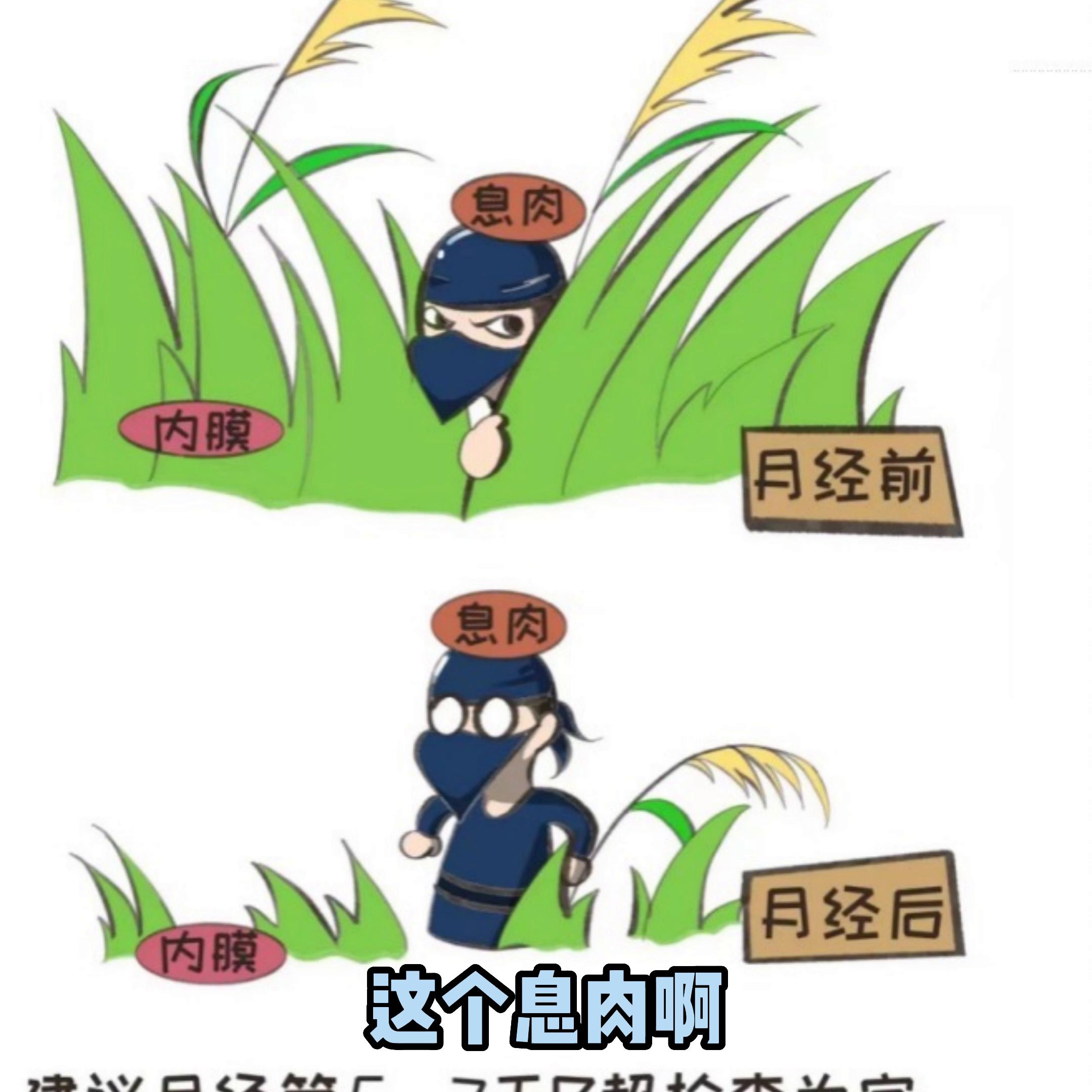 女性宫颈会长“小鲜肉”？来听听董医生怎么说,上#董...