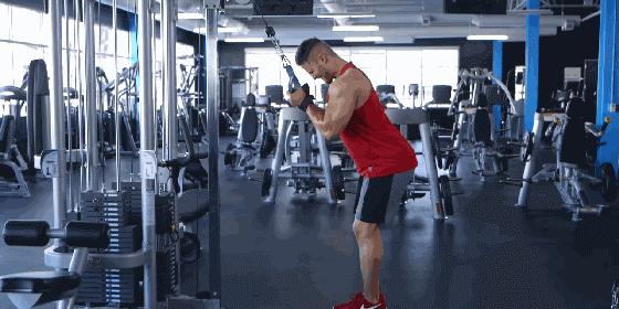 家庭健身房器械如何搭配,健身房器械使用教程女生