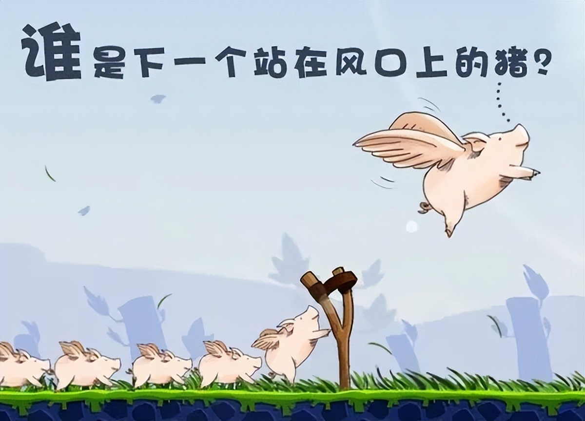 新风口来了,直迈推出“图文计划”,好物种草能月入20000+