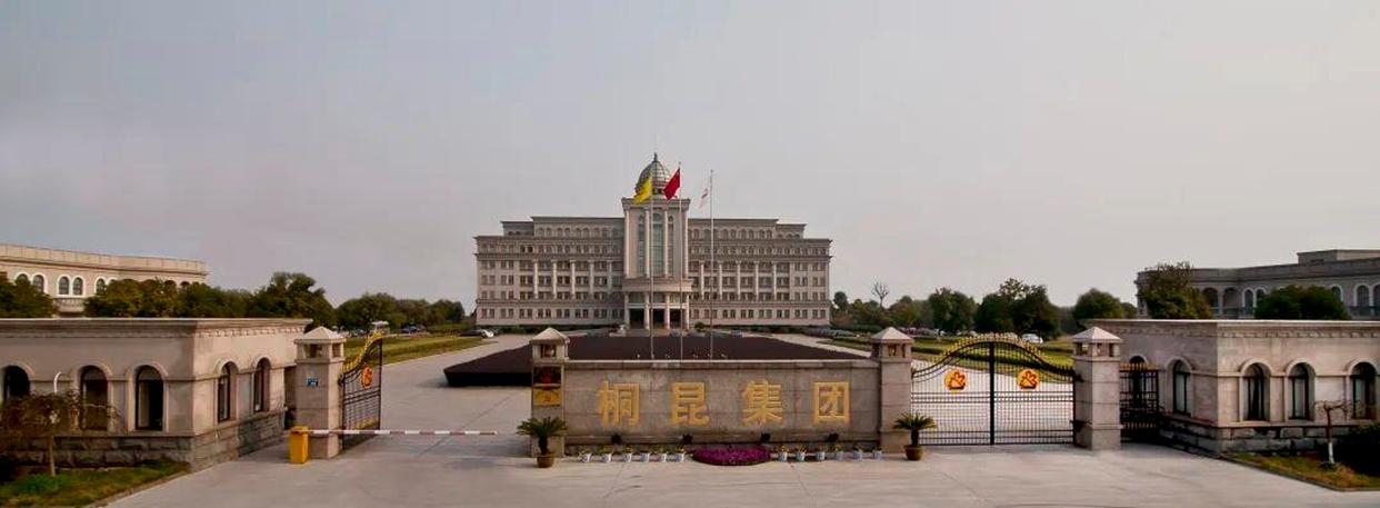 85后浙江姑娘创业经历,85年桐乡女企业家