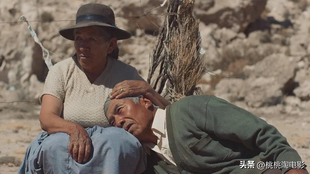 最新院线新片,最近院线新片