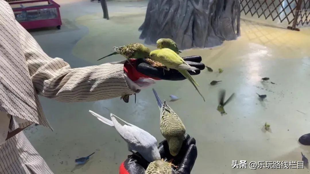 嗨玩五一假期,嗨玩五一