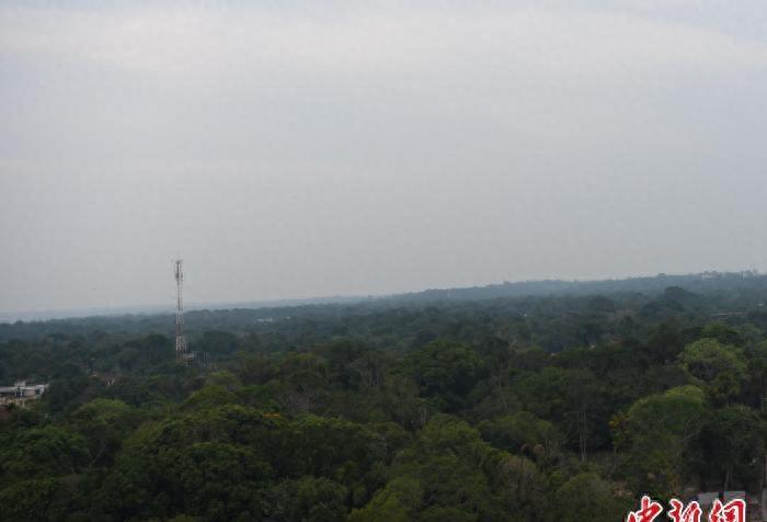 巴西亚马孙联赛,巴西亚马逊州