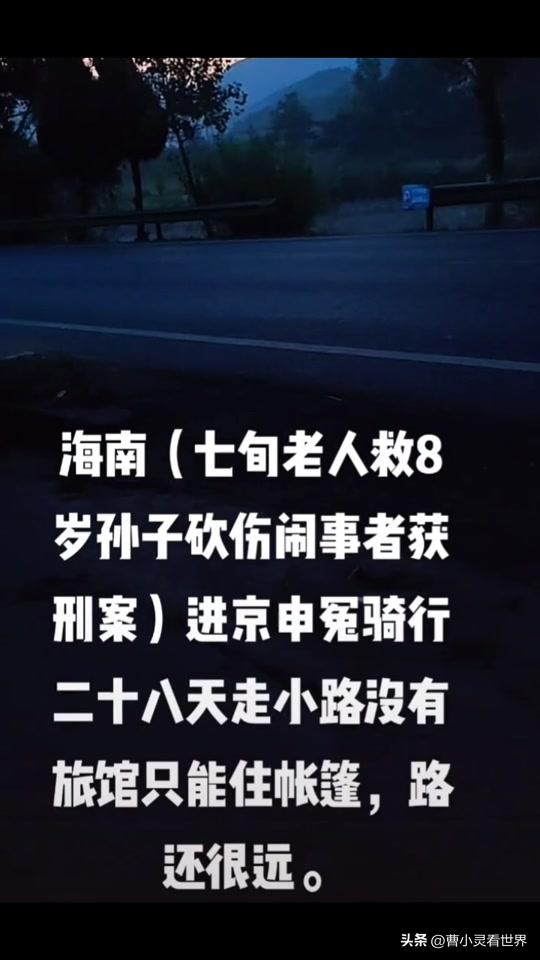 海南七旬老人救孙获刑案,海南七旬老人救孙为什么获刑