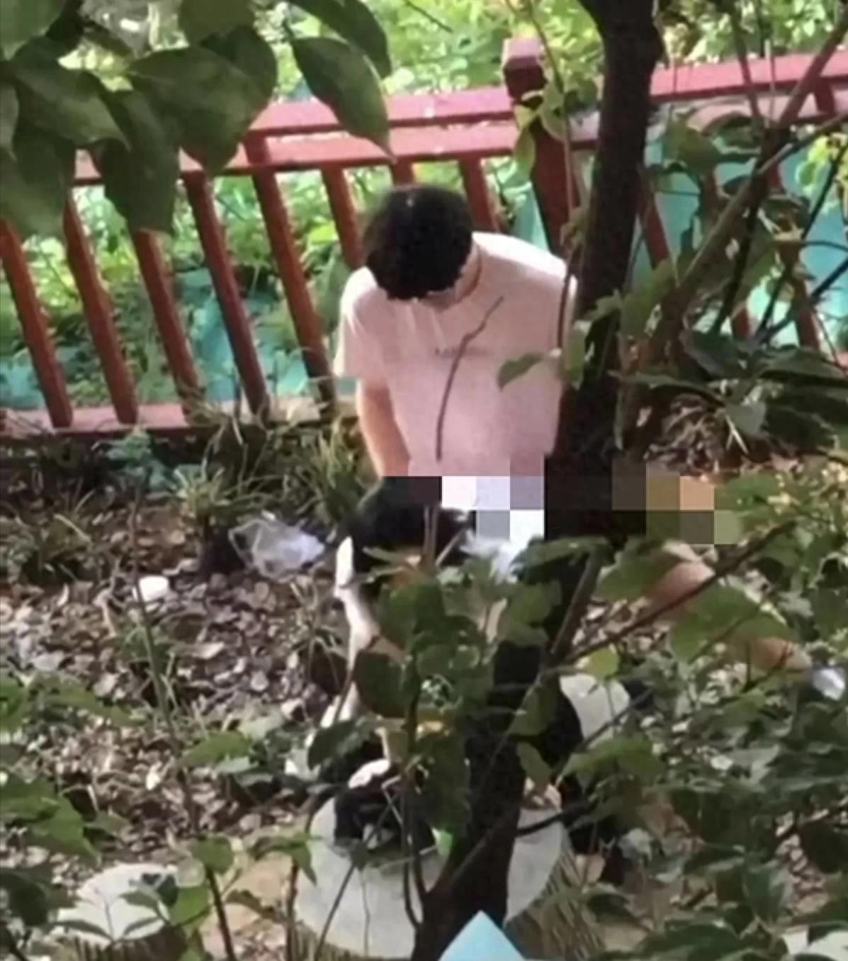 辽宁理工事件后续,辽宁理工学院事件