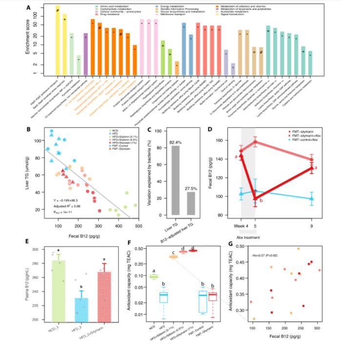 番茄果色偏黄怎么回事,番茄果实色泽评价