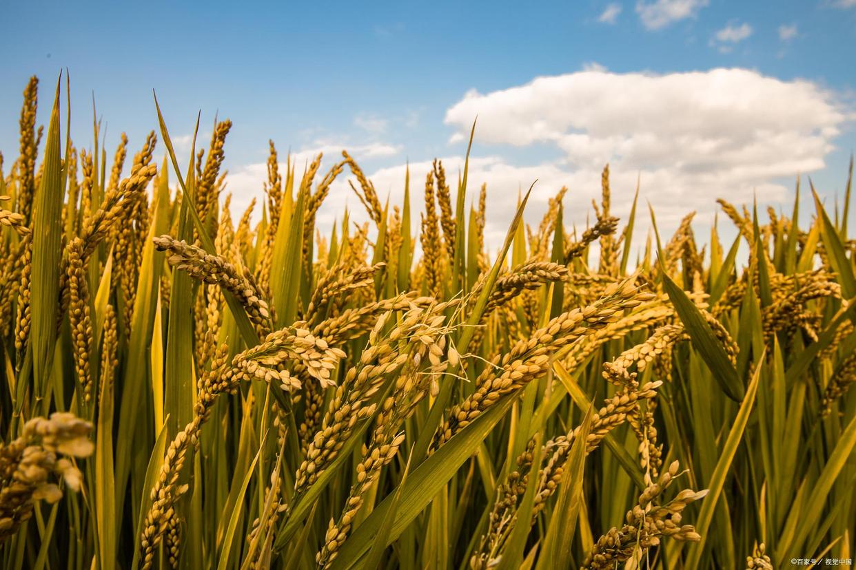 体验作文如何定题目,以考试为话题的作文题目自拟